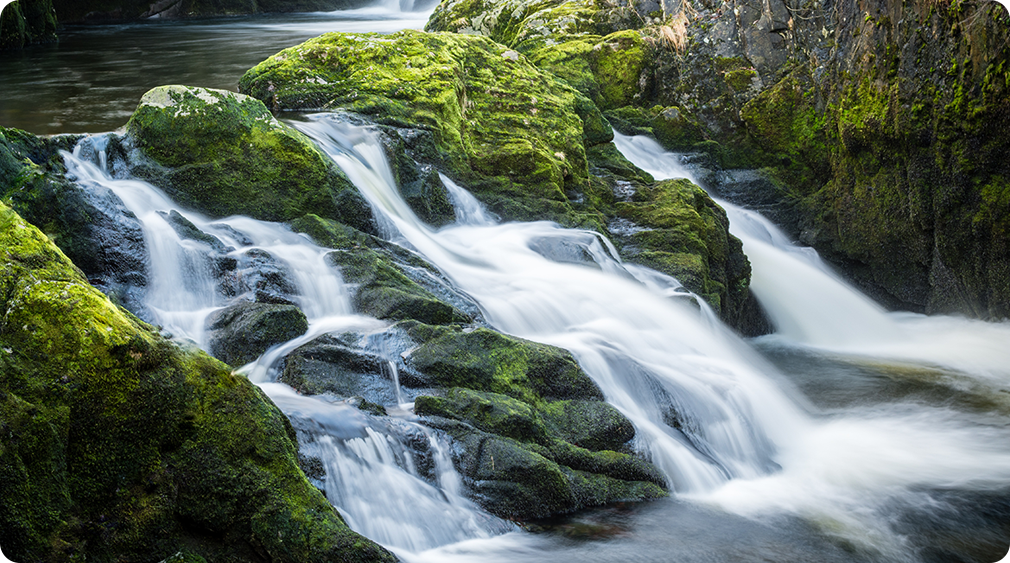 GIỚI THIỆU VỀ NAWA